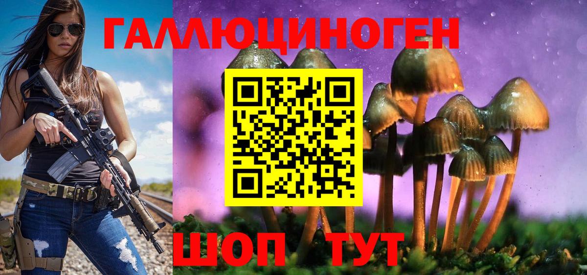 Псилоцибиновые грибы прущие грибы Ялта