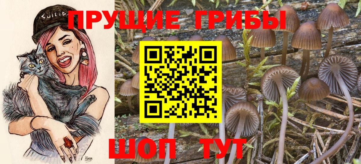 Ялта  Псилоцибиновые грибы Cubensis  Вход с VPN  Галлюциногенные грибы ЛСД 